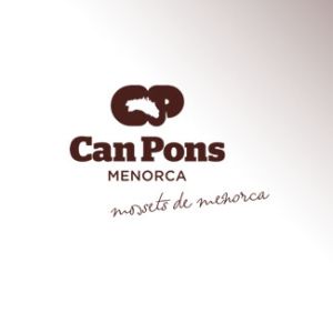 Can pons